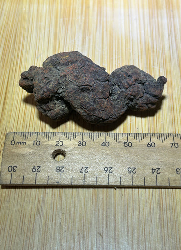 Coprolite ( fossilised poo )