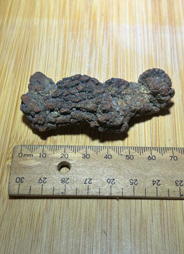 Coprolite ( fossilised poo )