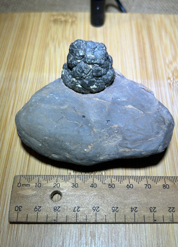 Pyrite specimen ( unique formation )