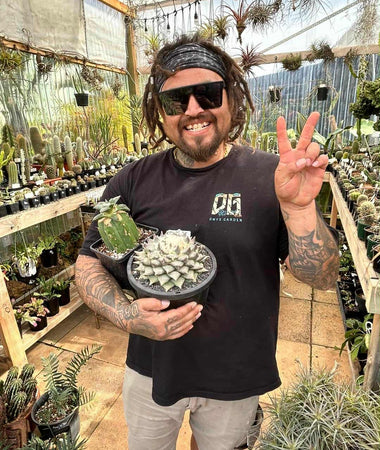 Sexy Collector Plants (Parental Guidance Required)