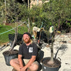 Native Australian Plants