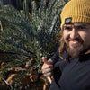 Cycads