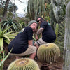 Cacti