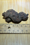 Coprolite ( fossilised poo )