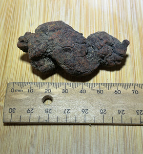 Coprolite ( fossilised poo )