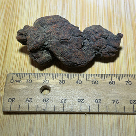 Coprolite ( fossilised poo )