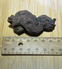 Coprolite ( fossilised poo )