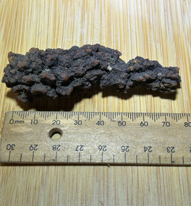 Coprolite ( fossilised poo )