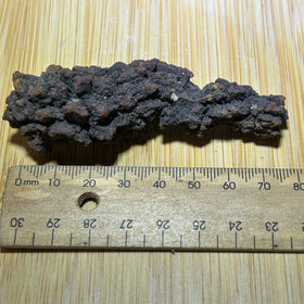 Coprolite ( fossilised poo )