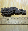 Coprolite ( fossilised poo )