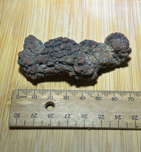 Coprolite ( fossilised poo )
