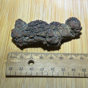 Coprolite ( fossilised poo )