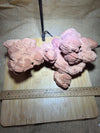 Stromatolite specimen
