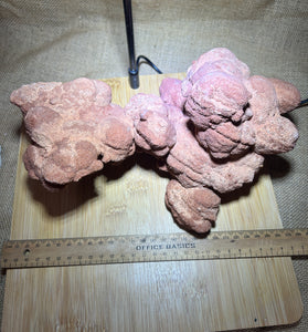 Stromatolite specimen