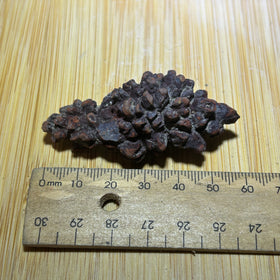 Coprolite ( fossilised poo )