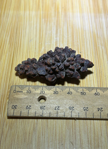 Coprolite ( fossilised poo )