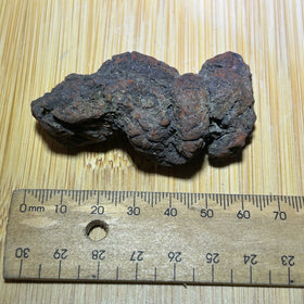 Coprolite specimen ( fossilised poo )
