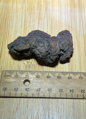 Coprolite specimen ( fossilised poo )