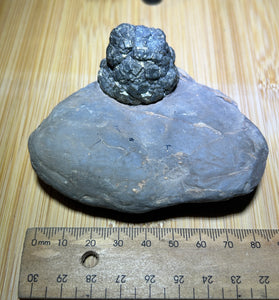 Pyrite specimen ( unique formation )