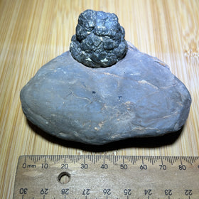 Pyrite specimen ( unique formation )