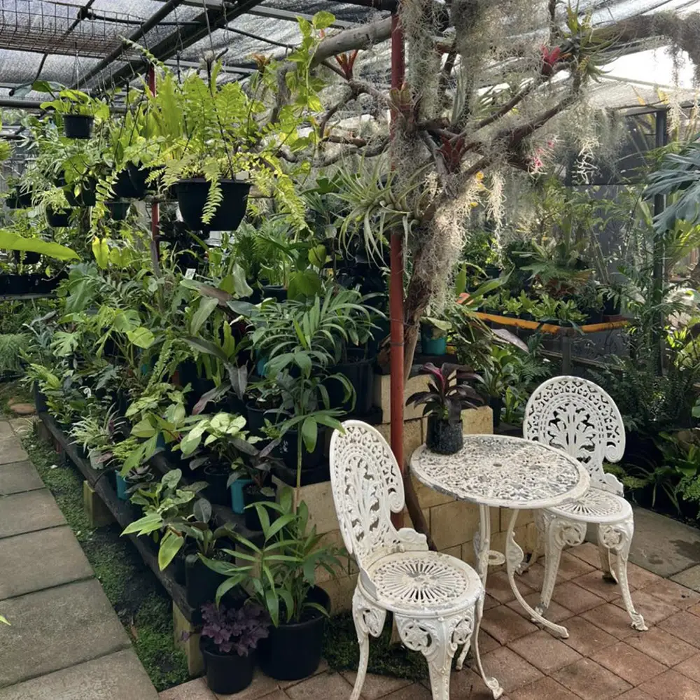 Owy's Garden Centre Perth